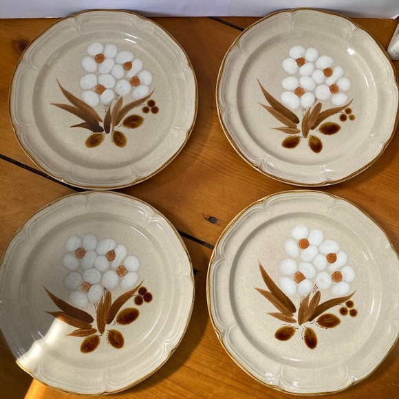 Hearthside Dining Vintage Hand Painted Stoneware Plates Castlewood